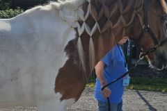 Heavenly Harvest Food Cart at EQUINE ASSISTED THERAPY Event