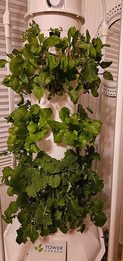 Aeroponic Tower Garden for Indoor Gardening